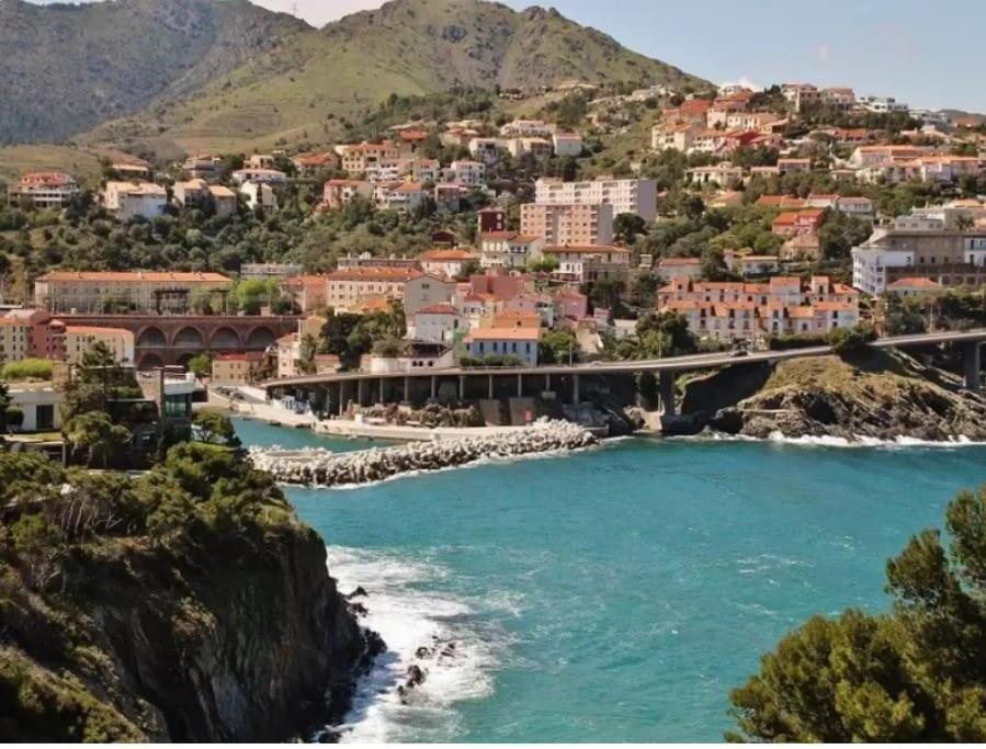 Appart F3 A 150 M De La Plage Avec Parking Prive Cerbère Εξωτερικό φωτογραφία