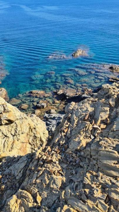 Appart F3 A 150 M De La Plage Avec Parking Prive Cerbère Εξωτερικό φωτογραφία