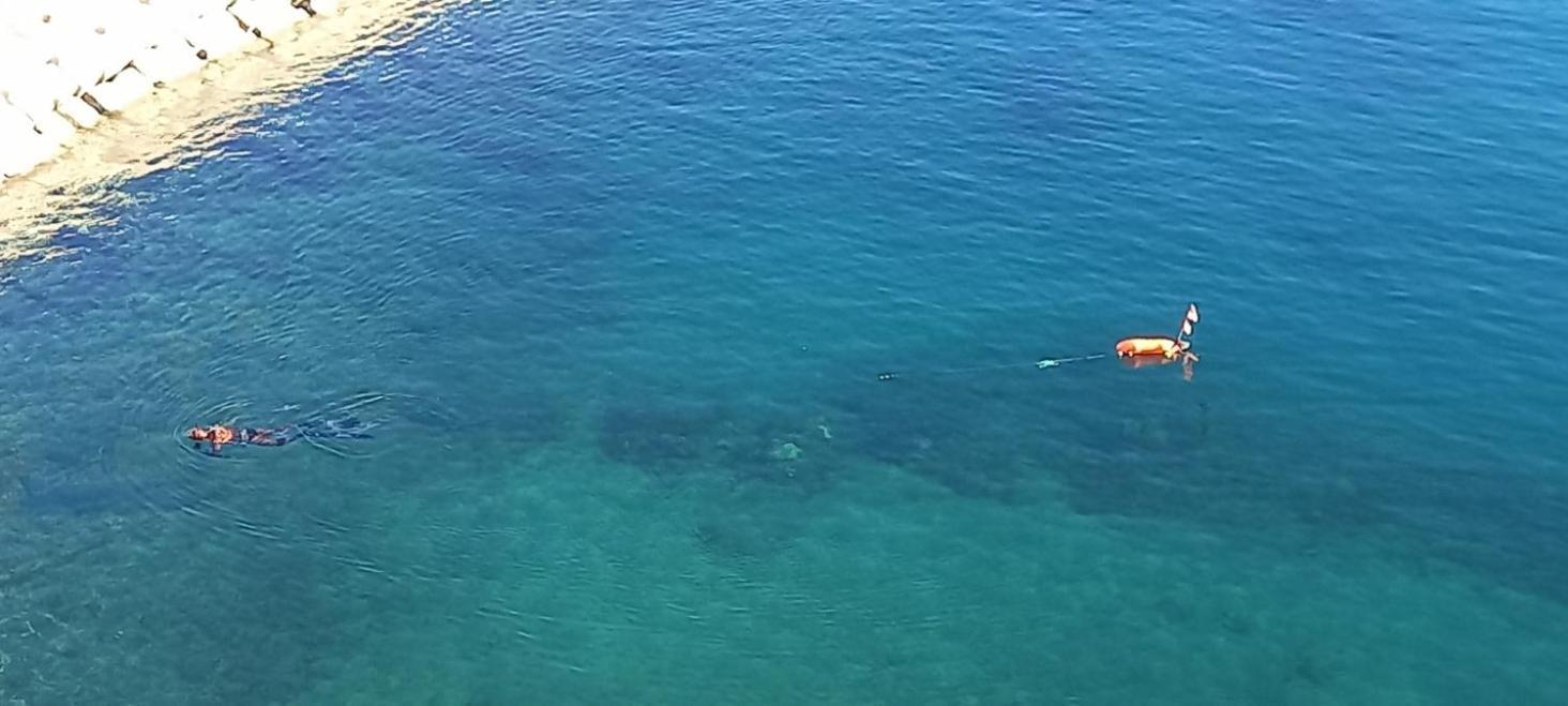 Appart F3 A 150 M De La Plage Avec Parking Prive Cerbère Εξωτερικό φωτογραφία