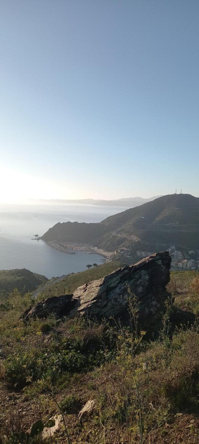 Appart F3 A 150 M De La Plage Avec Parking Prive Cerbère Εξωτερικό φωτογραφία