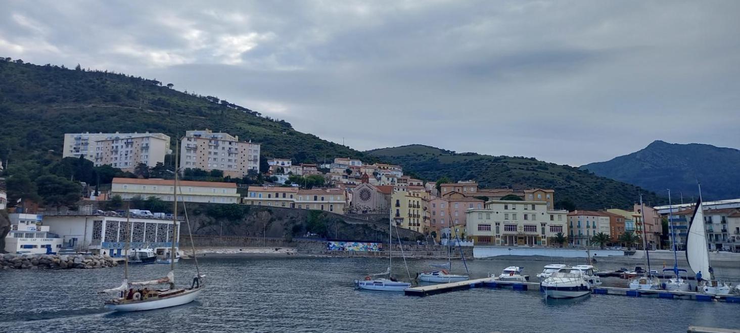 Appart F3 A 150 M De La Plage Avec Parking Prive Cerbère Εξωτερικό φωτογραφία